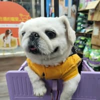 皇家動物醫院