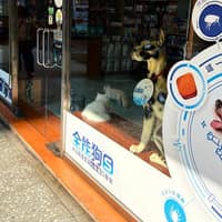 弘安獸醫院