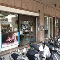 全國動物醫院 貓醫院