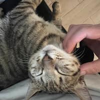 欣欣動物醫院