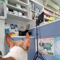 護生動物醫院