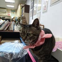 馥御動物醫院