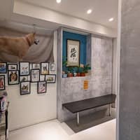 純粹動物醫院