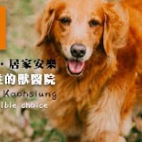 宅宅犬貓行動獸醫院