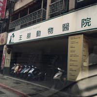 王朋動物醫院 - 犬貓眼科
