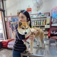 躍犬獸動物醫院