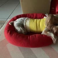 台大健弘動物醫院