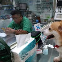 台大長鴻動物醫院