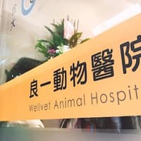 台大良一動物醫院