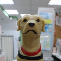 聖愛動物醫院-復興總院