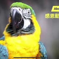 感恩動物醫院