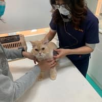 中美獸醫院