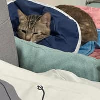 佑旺動物醫院
