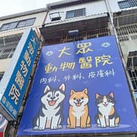 大眾動物醫院
