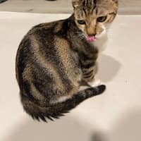 博仁動物醫院
