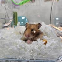 窩窩兔動物醫院