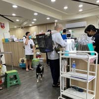 慈恩動物醫院