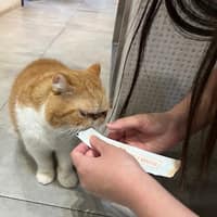 淇寶寶動物醫院