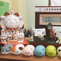 小果苗動物醫院