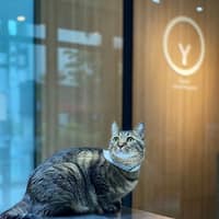 小森林動物醫院
