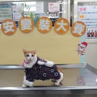 安安動物醫院