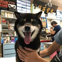 新店獸醫院