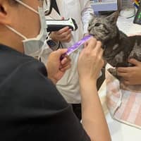 依視界動物醫院
