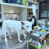 南陽獸醫院