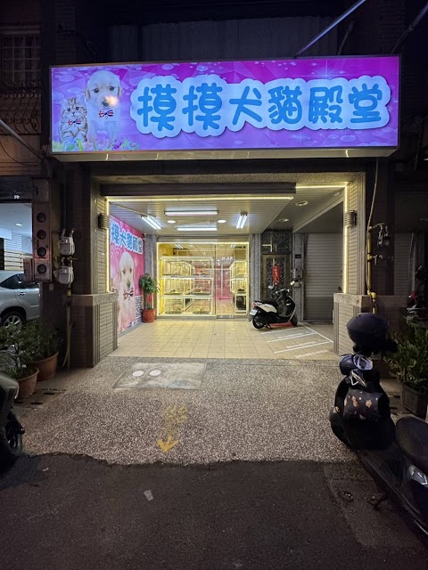 摸摸貓舍