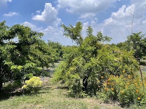 三逢家畜醫院