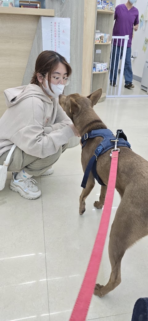底佳動物醫院