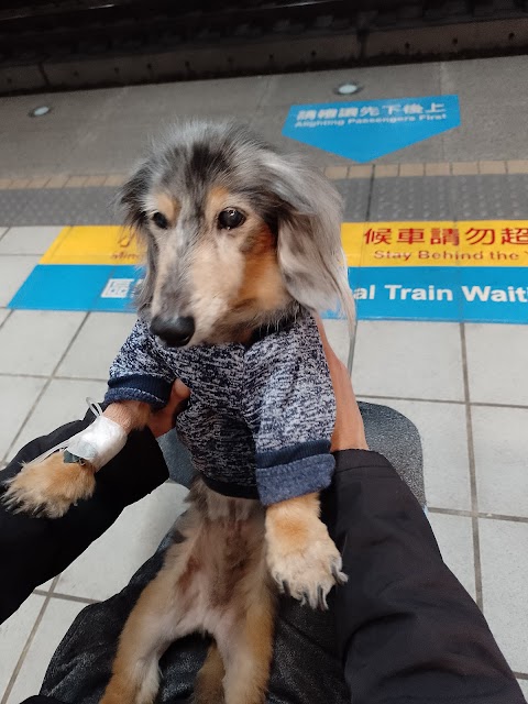 中美獸醫院
