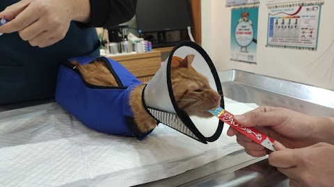 東尚動物醫院