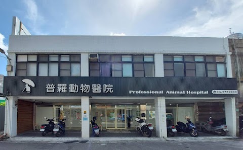 普羅動物醫院