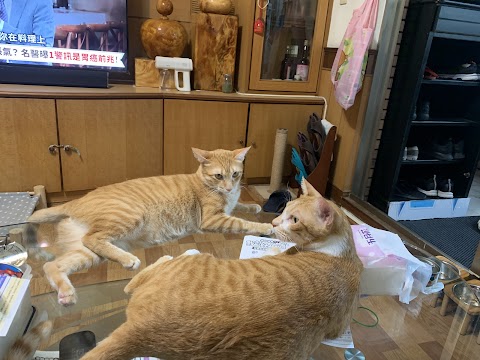 偉源動物醫院
