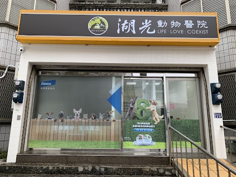 湖光動物醫院