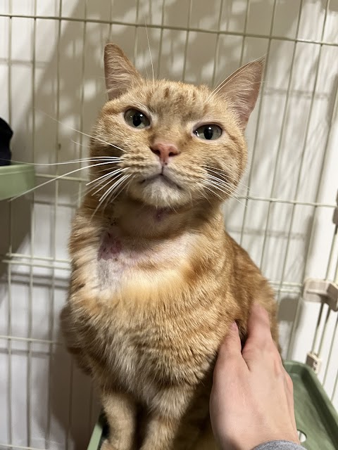 奕良57動物醫院