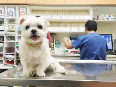 吉祥動物醫院