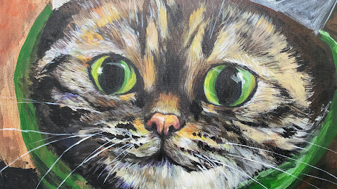鼻爾動物醫院