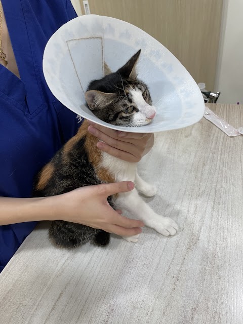 晨心動物醫院