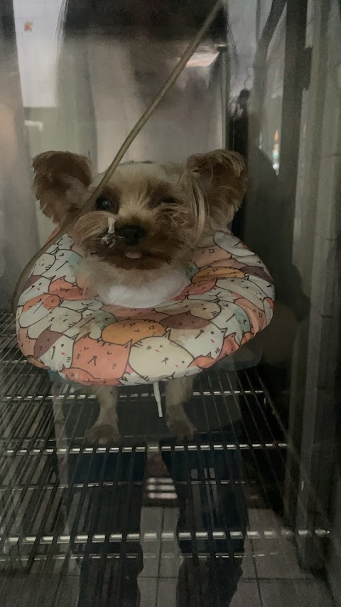 嘉慶動物醫院