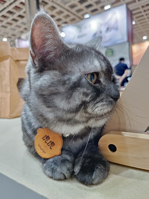 日祥動物醫院
