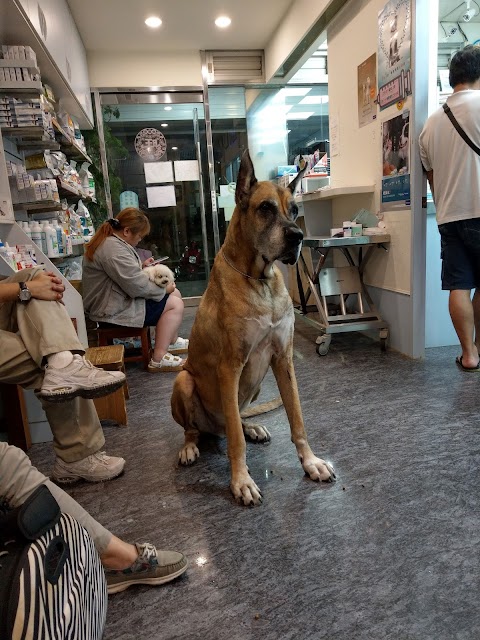 信安動物醫院