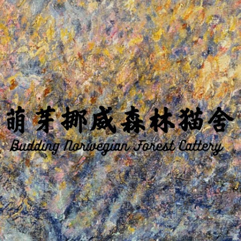 萌芽貓舍