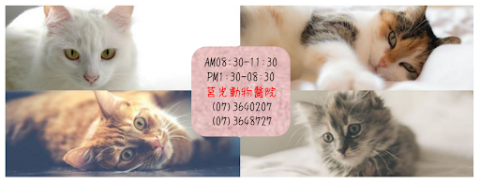 莒光動物醫院