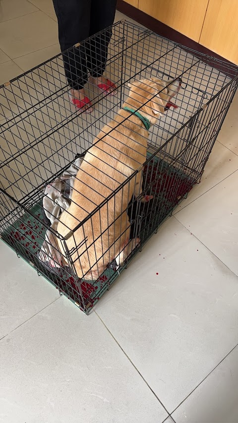 哈囉獸醫