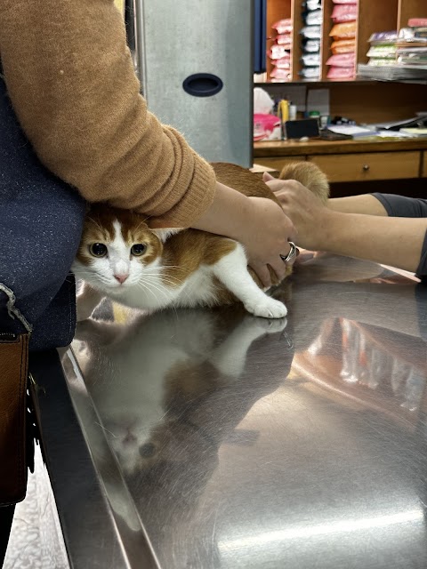 啟仁動物醫院