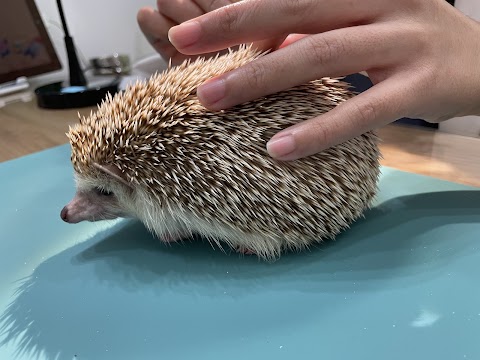 樂蹦動物醫院