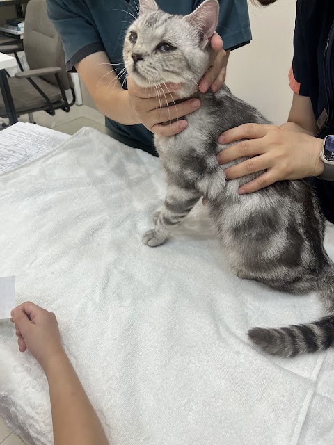 毛大夫動物診所