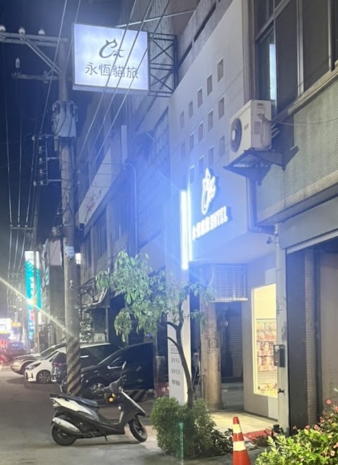 永恆貓旅